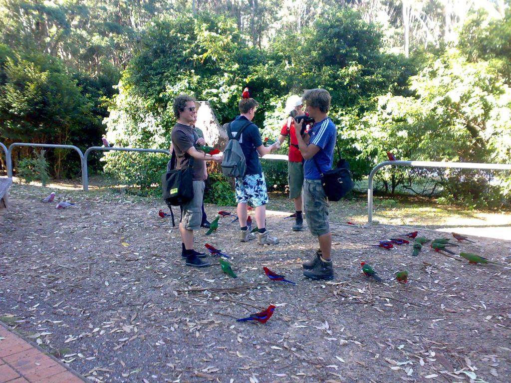 Batemans Bay Holiday Park & Hostel Exterior photo